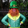 photo of leprechaun